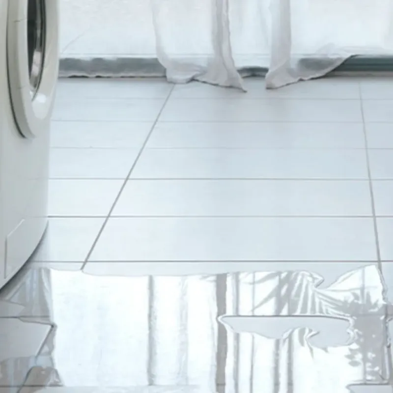 Appliance Leak Cleanup in Landmark, AR