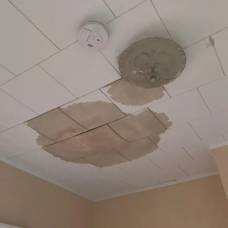 Ceiling Water Damage Repair in Landmark, AR