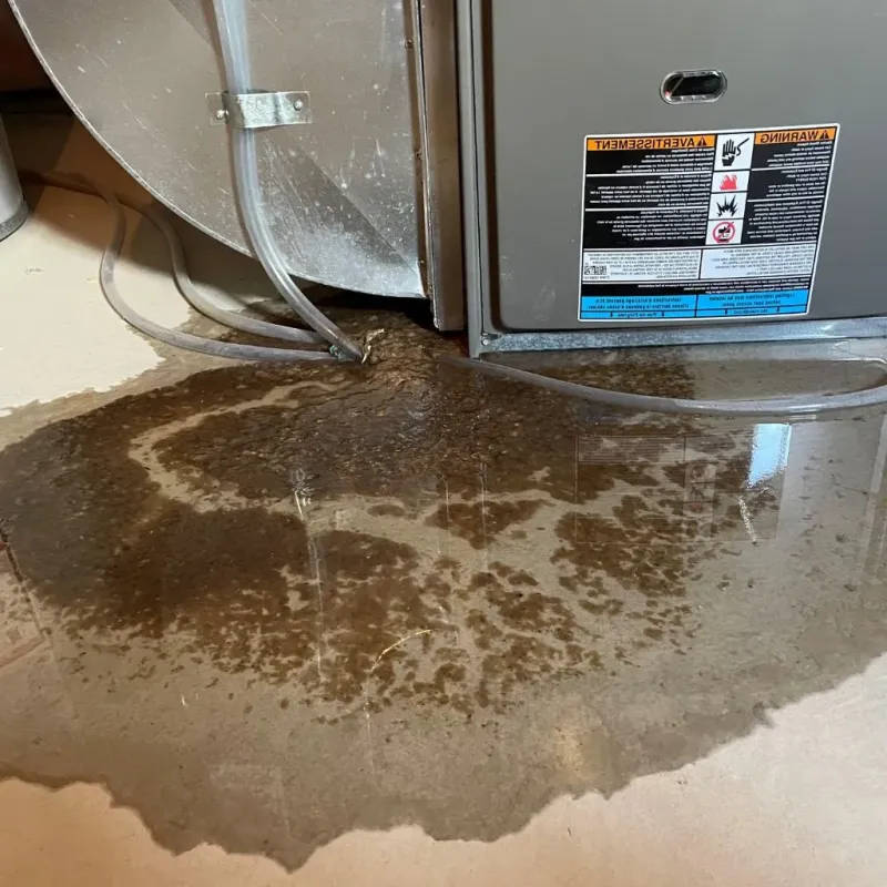 Pipe Burst and Leak Restoration in Landmark, AR
