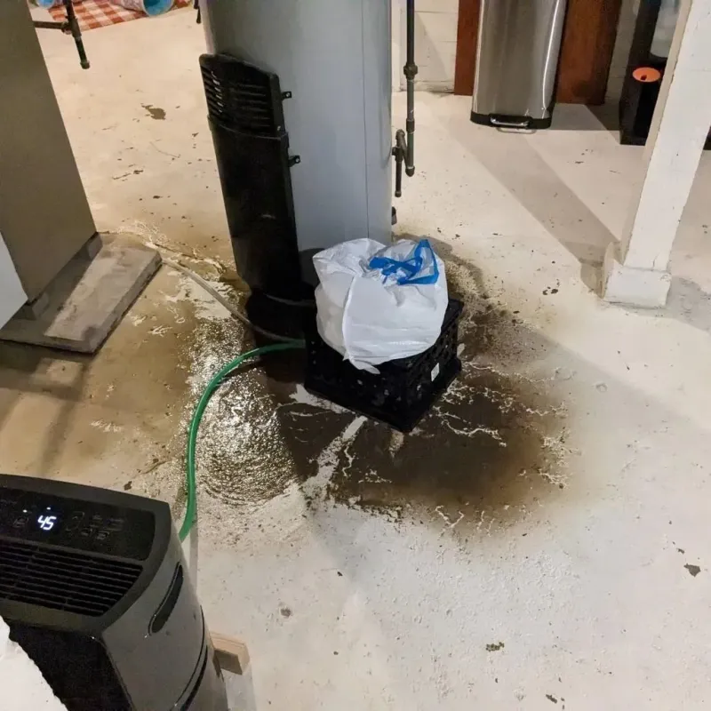 Sewage Backup Cleanup Service in Landmark, AR